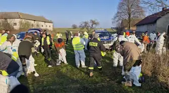 Kolejne truchła dzików w regionie. Zakończył się dzień poszukiwań