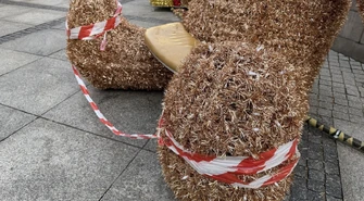 Złoty miś z Rynku Trybunalskiego: miał błyszczeć, ale złamała się ławeczka