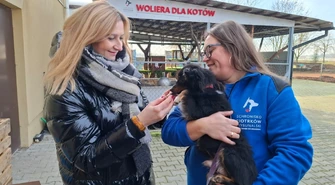 Wsparcie dla bezdomnych zwierząt z Województwa Łódzkiego