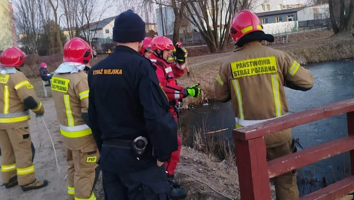 Dziewczynka utknęła na kruchym lodzie. Akcja służb