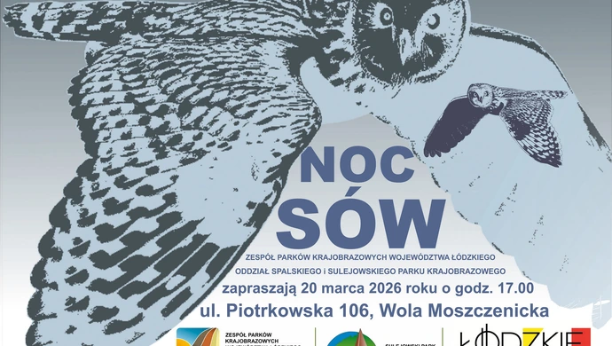 Dlaczego sowy latają w nocy?  Dowiesz się na "Nocy sów"  już 20 marca.