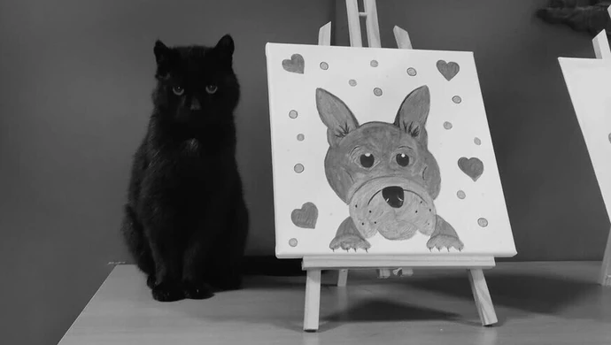 Nie żyje Boni – „Prezes” schroniska, który przez lata witał odwiedzających