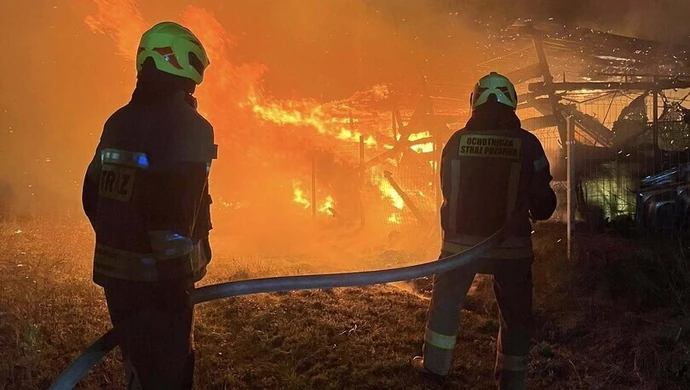 Pożar stajni w Kotuszowie. Zginęły dwa konie