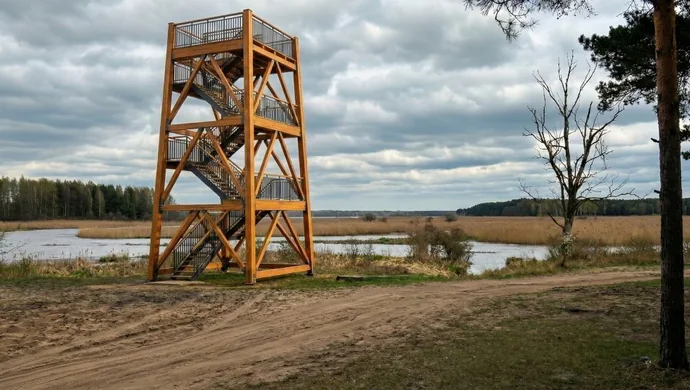 Nowe szlaki, kładki i wieża widokowa. Sulejów inwestuje miliony w rozwój turystyki nad Zalewem Sulejowskim