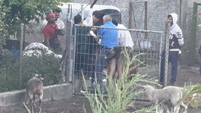 Prokuratura bada sprawę szczątków zwierząt odkrytych na posesji w Piotrkowie