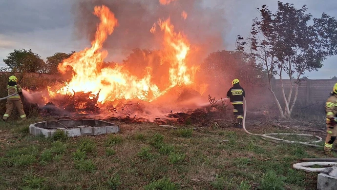 Wypalał gałęzie, wybuchł pożar w Przygłowie. Przyznał się, ale gdy usłyszał o mandacie, wszystkiego się wyparł