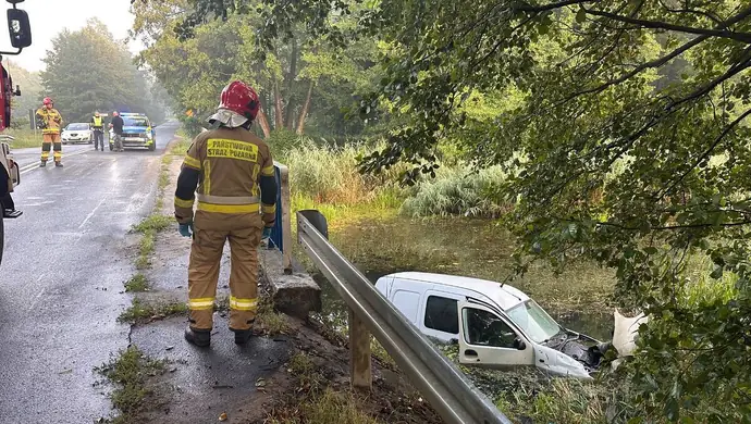 Renault wpadło do Bugaju. Kierowca chciał ominąć sarnę VIDEO
