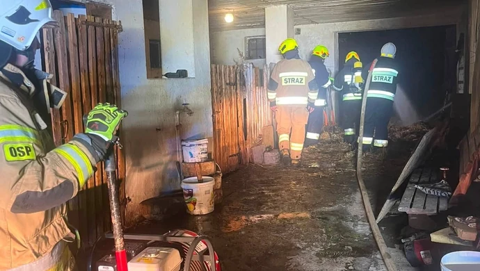 Pożar budynku gospodarczego w Borowcu. Jedna osoba poszkodowana