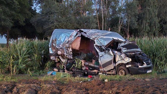 Mercedes uderzył w drzewo i wpadł w kukurydzę. Kierowca miał ponad 2,5 promila