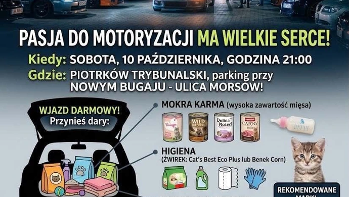Motoryzacyjny spot dla kotów dla Fundacji Miasto Kotów