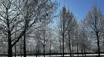 Ujemne temperatury i śnieg — zimowy tydzień nad Piotrkowem i regionem