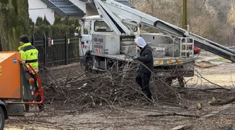Ponad 100-letnie lipy znikają z Kwiatowej. Mieszkańcy są załamani 