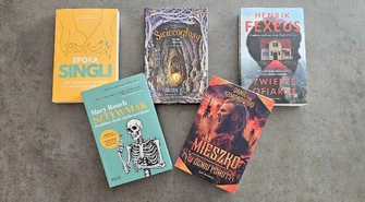 Książka na weekend – Mieszko znowu rusza do boju