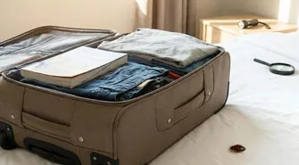 Co zrobić, gdy z wakacji zamiast wspomnień przywieziemy pluskwy?