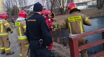 Dziewczynka utknęła na kruchym lodzie. Akcja służb