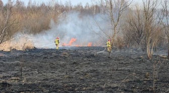 Ogromny pożar w Piotrkowie. Pięć zastępów straży gasiło 40 tysięcy metrów kwadratowych