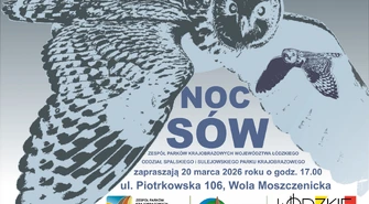 Dlaczego sowy latają w nocy?  Dowiesz się na "Nocy sów"  już 20 marca.