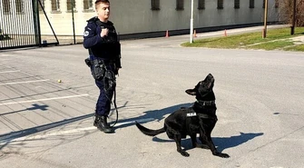 Hades, nowy czworonożny policjant w piotrkowskiej komendzie