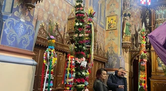 Sulejowskie palmy pełne symboliki – konkurs, który łączy pokolenia