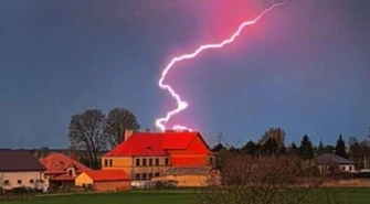 Ponad 120 interwencji strażaków z powodu silnego wiatru, spadający konar zranił kierowcę