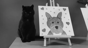 Nie żyje Boni – „Prezes” schroniska, który przez lata witał odwiedzających