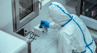 Śledztwo w sprawie wyrzuconych testów na ASF dla laboratorium w Piotrkowie umorzone