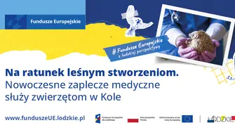Na ratunek leśnym stworzeniom. Nowoczesne zaplecze medyczne służy zwierzętom w Kole