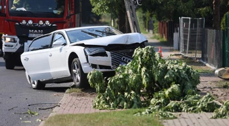 Audi uderzyło w słup i drzewo na Zalesickiej. Kierowca uciekł
