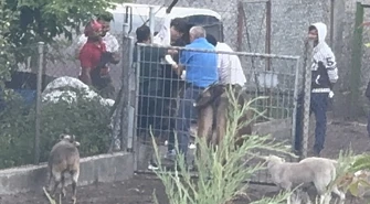 Prokuratura bada sprawę szczątków zwierząt  zakopanych na posesji w Piotrkowie. „To my od lat jesteśmy nękani”
