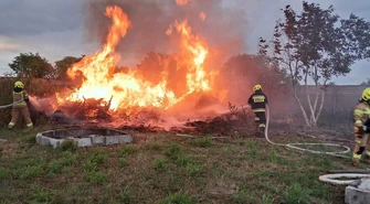 Wypalał gałęzie, wybuchł pożar w Przygłowie. Przyznał się, ale gdy usłyszał o mandacie, wszystkiego się wyparł
