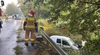 Renault wpadło do Bugaju. Kierowca chciał ominąć sarnę VIDEO
