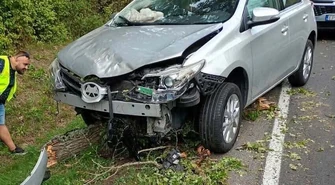 Nietypowe zdarzenie na DK74. Na samochód spadło drzewo
