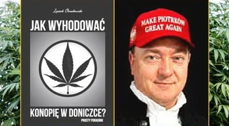 Chce zostać prezydentem Piotrkowa. Na razie wydał publikację o uprawie konopi