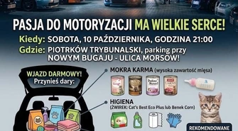 Motoryzacyjny spot dla kotów dla Fundacji Miasto Kotów