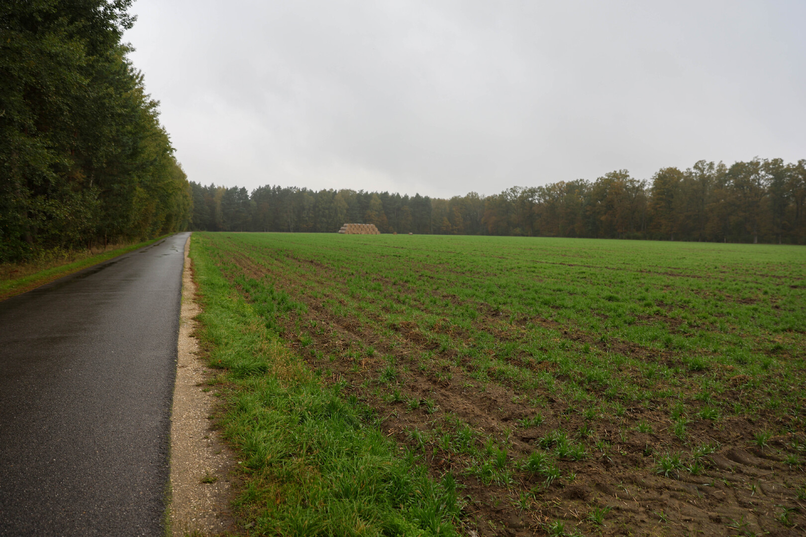 Tu ma powstać biogazownia