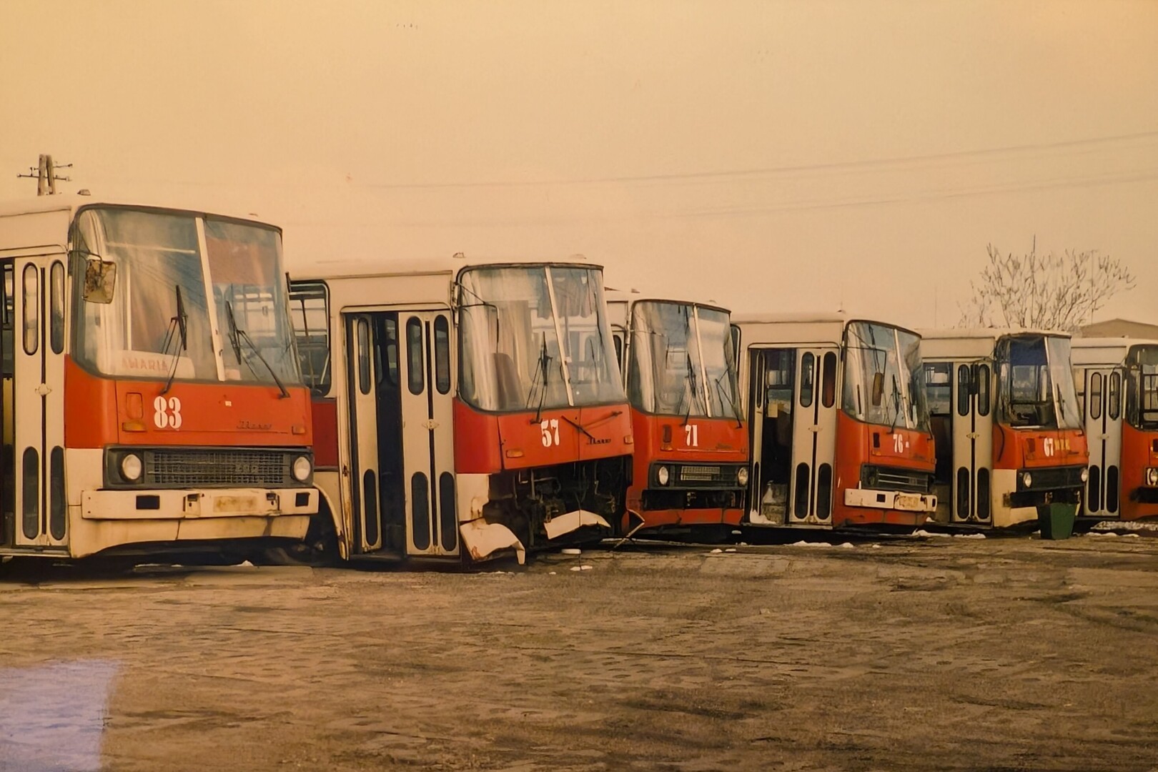 Archiwum Tydzień Trybunalski