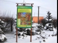 Zim na obrzeu Sulejowskiego Parku Krajobrazowego