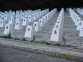 cmentarz onierzy radzieckich przy ul. Rakowskiej