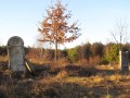 Kilkadziesit metrw na pnoc od cmentarza w Rozprzy znajduj si pozostaoci cmentarza ydowskiego. Przed 2 lub 3 z kilku pozostacy macew pal si znicze.