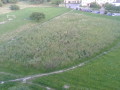 Pole trawy