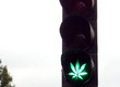 http://www.foundshit.com/pictures/signs/marijuana-traffic-light.jpg
